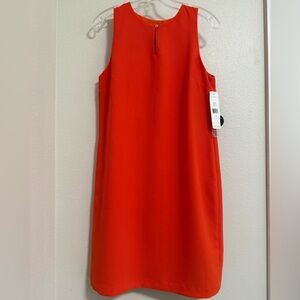 NWT Lauren Ralph Lauren Modern Ora Sleeveless Dress
